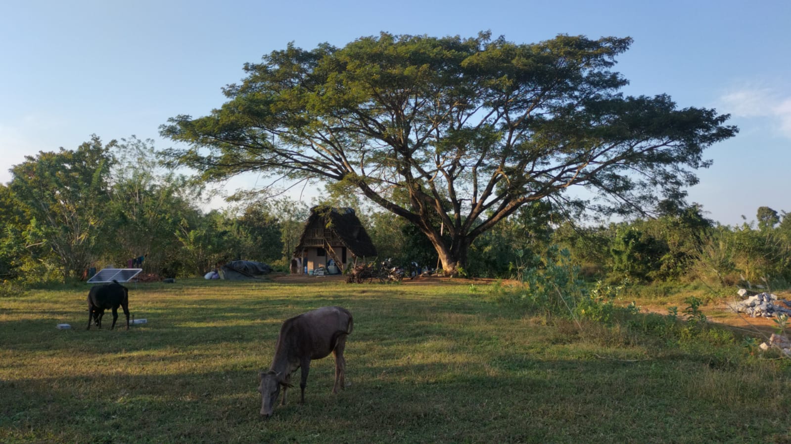 ഇക്കോവില്ലേജില്‍ ഞങ്ങള്‍ താമസം തുടങ്ങി..