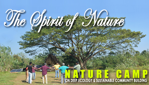 Welcome to Coherence